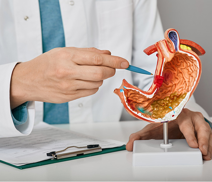 Gastroenterologia