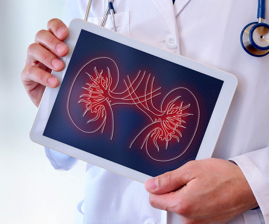 Urologia