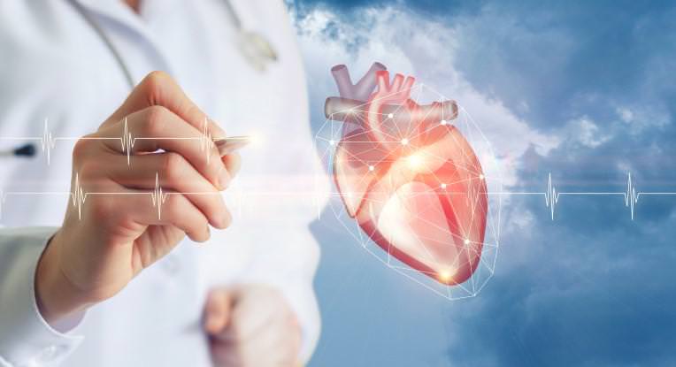 Cardiologia