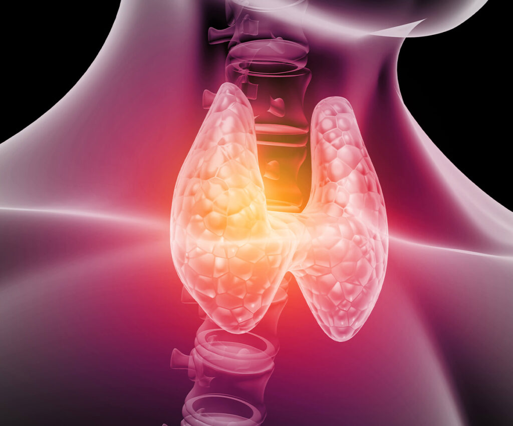 Endocrinologia